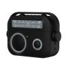 EDA006633601B Estuche estilo radio para AirPods Pro.