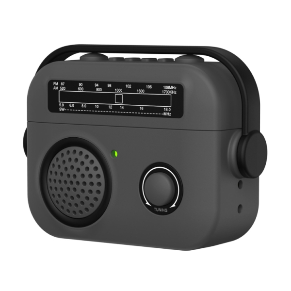 EDA006633601D Estuche estilo radio para AirPods Pro.